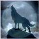 shadowwolf's Avatar